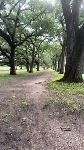 #AudubonPark #neworleans 