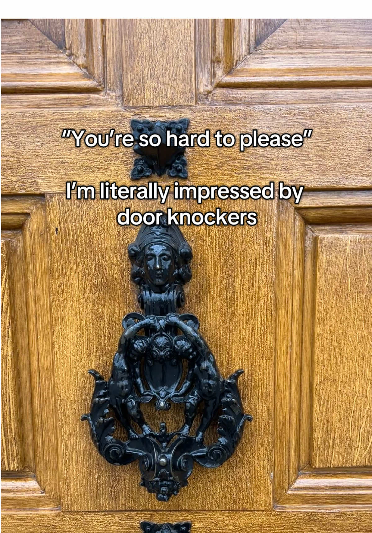 bigknockersfanpage 4 life