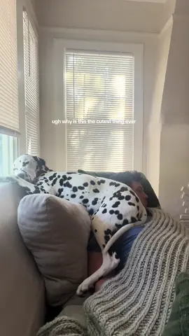 comfy spot for a nap 