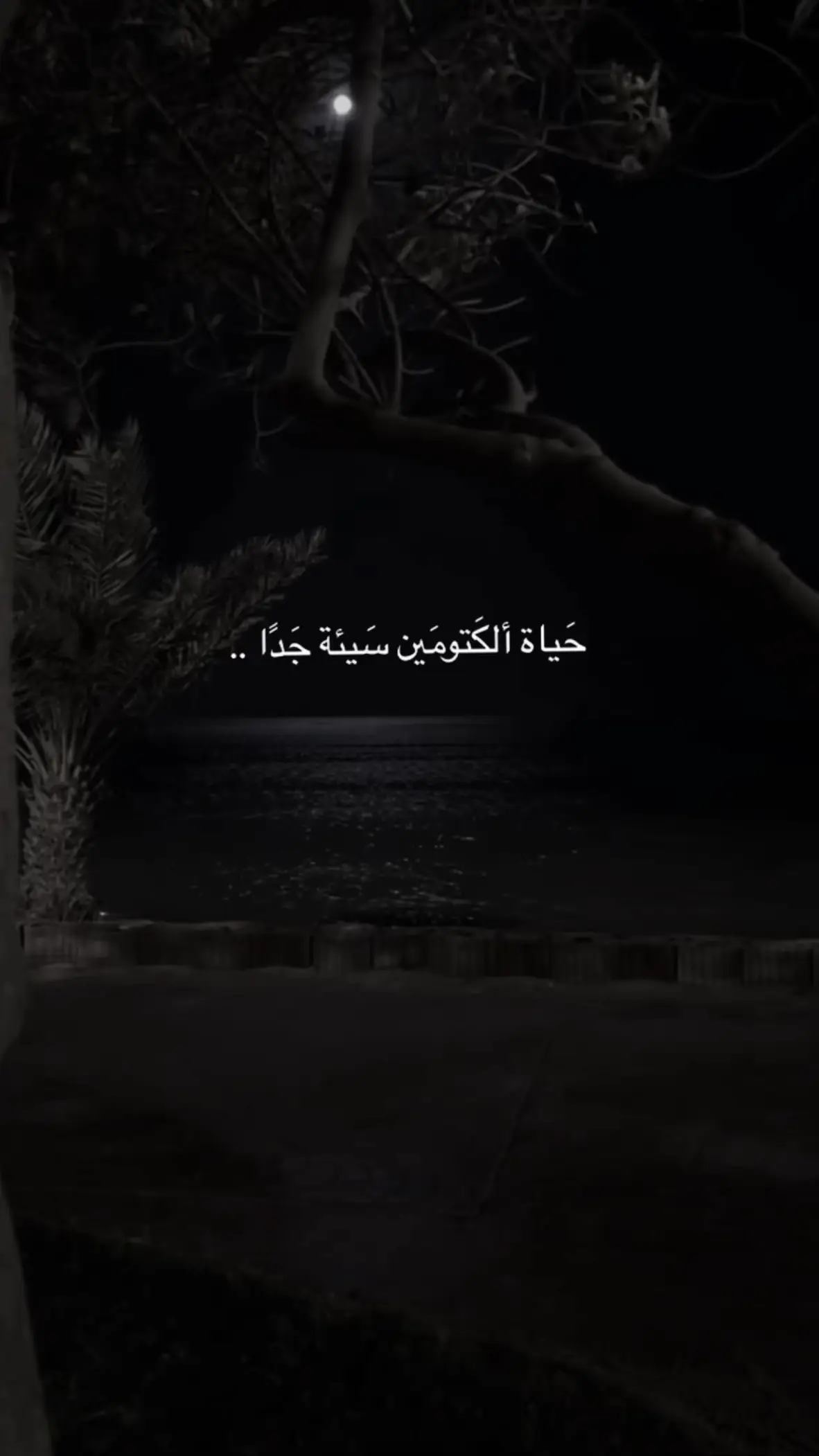 #قران_كريم #باسم_الكربلائي #اللهم_صلي_على_نبينا_محمد 