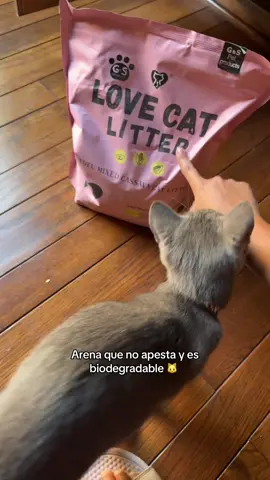 A Oak le gusta mucho esta arenita, hecha de casavva y tofu 🐱🐾 #arenaparagatos ##catlitter