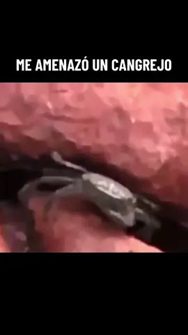 😂😂