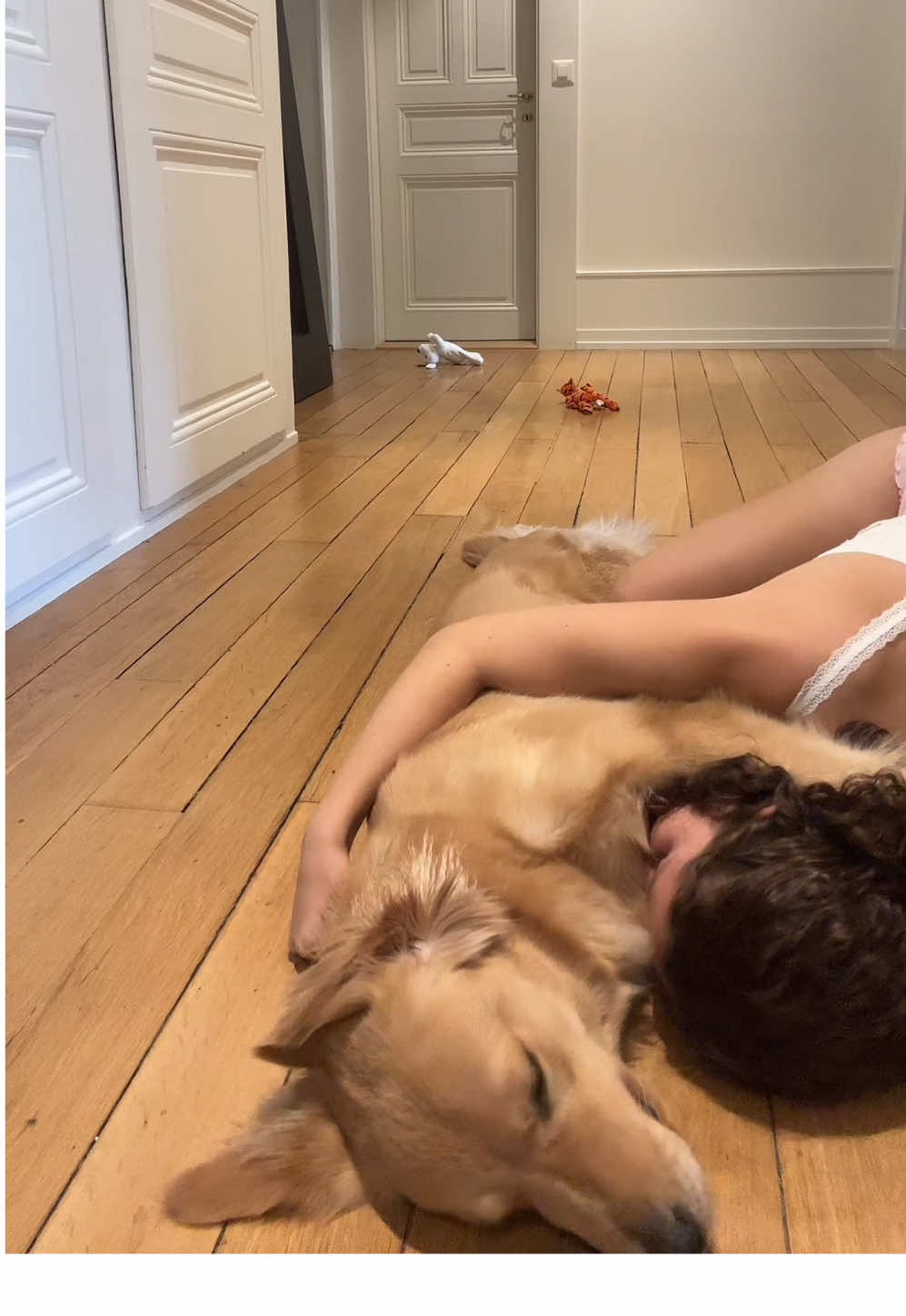 Jajaja eso pensará mi bb ?🙈🤭❤️ #perro #goldenretriever #golden #mascota #familia 