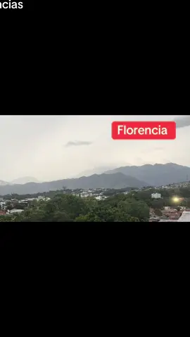🛑Tormenta en Florencia Una fuerte tormenta con vientos de gran magnitud azotó Florencia, dejando caer ramas de árboles sobre algunas vías de la ciudad. Los organismos de socorro están en alerta máxima para atender las emergencias. #tormenta #alerta #florencia #medioambiente #viral 