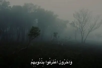 #محمد_صديق_المنشاوي #quran #fyp #🎧 