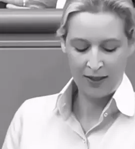 So verdammt Wahr 💯! #wahrheit #politik #deutschland🇩🇪#germany #afd @Alice Weidel 