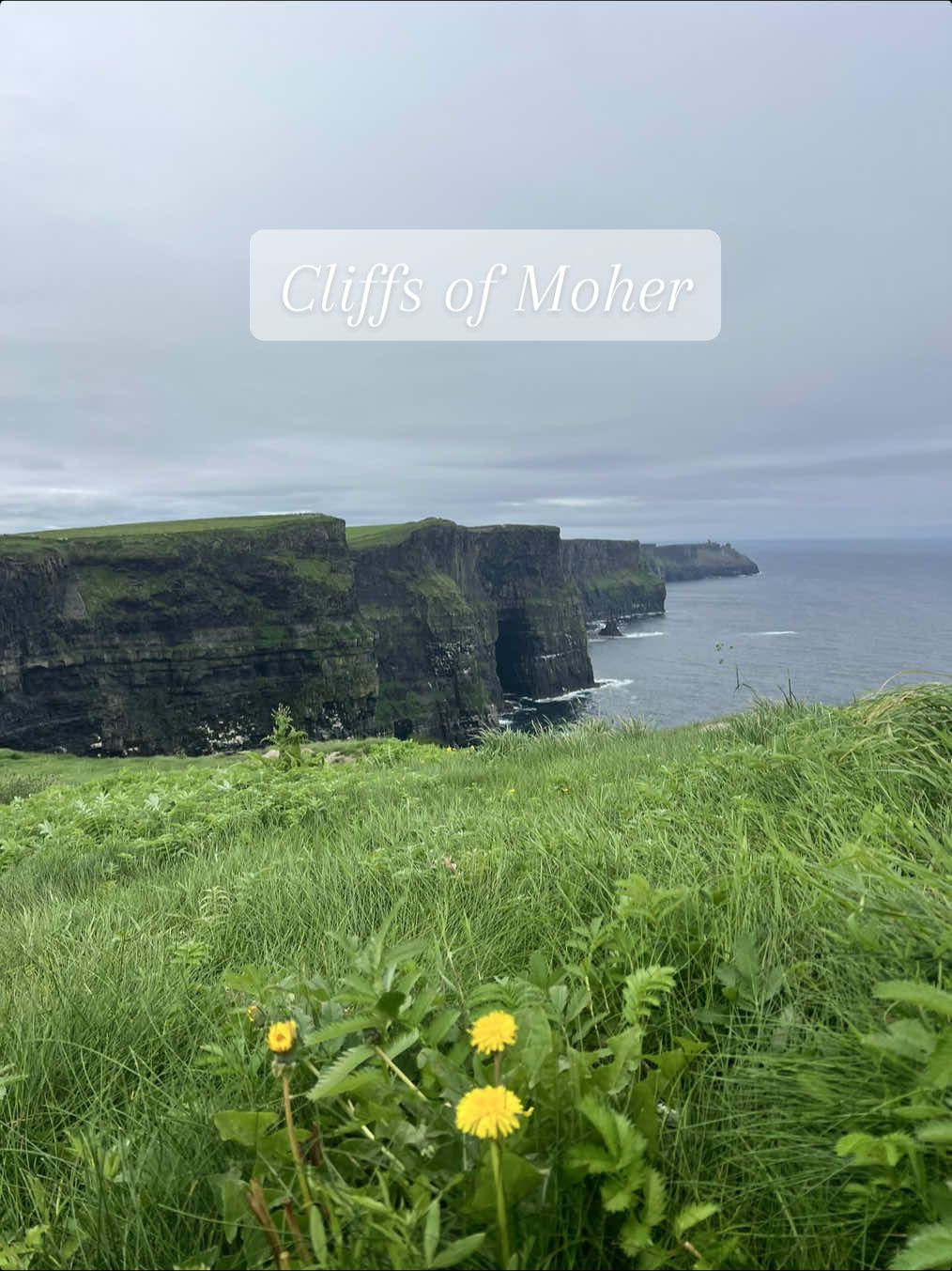 how can you visit the cliffs of moher and not recreate this classic?? #theprincessbride #cliffsofmoher #cliffsofinsanity 