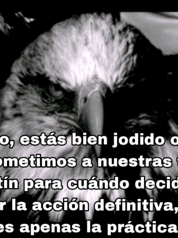 El Pepino. #help #neoven #crisiseconomica #fypシ゚ #fypp 