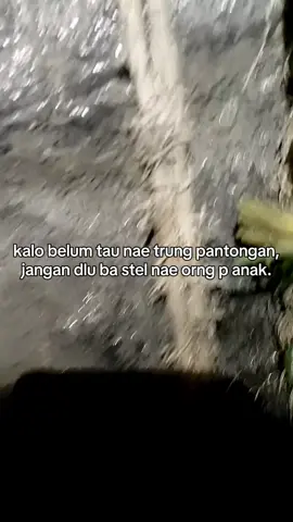 #jngn ya de😂#fyp #anaktambang 