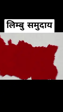 #creatorsearchinsights #लिम्बु #nepalitiktok #newviral #belleeze 