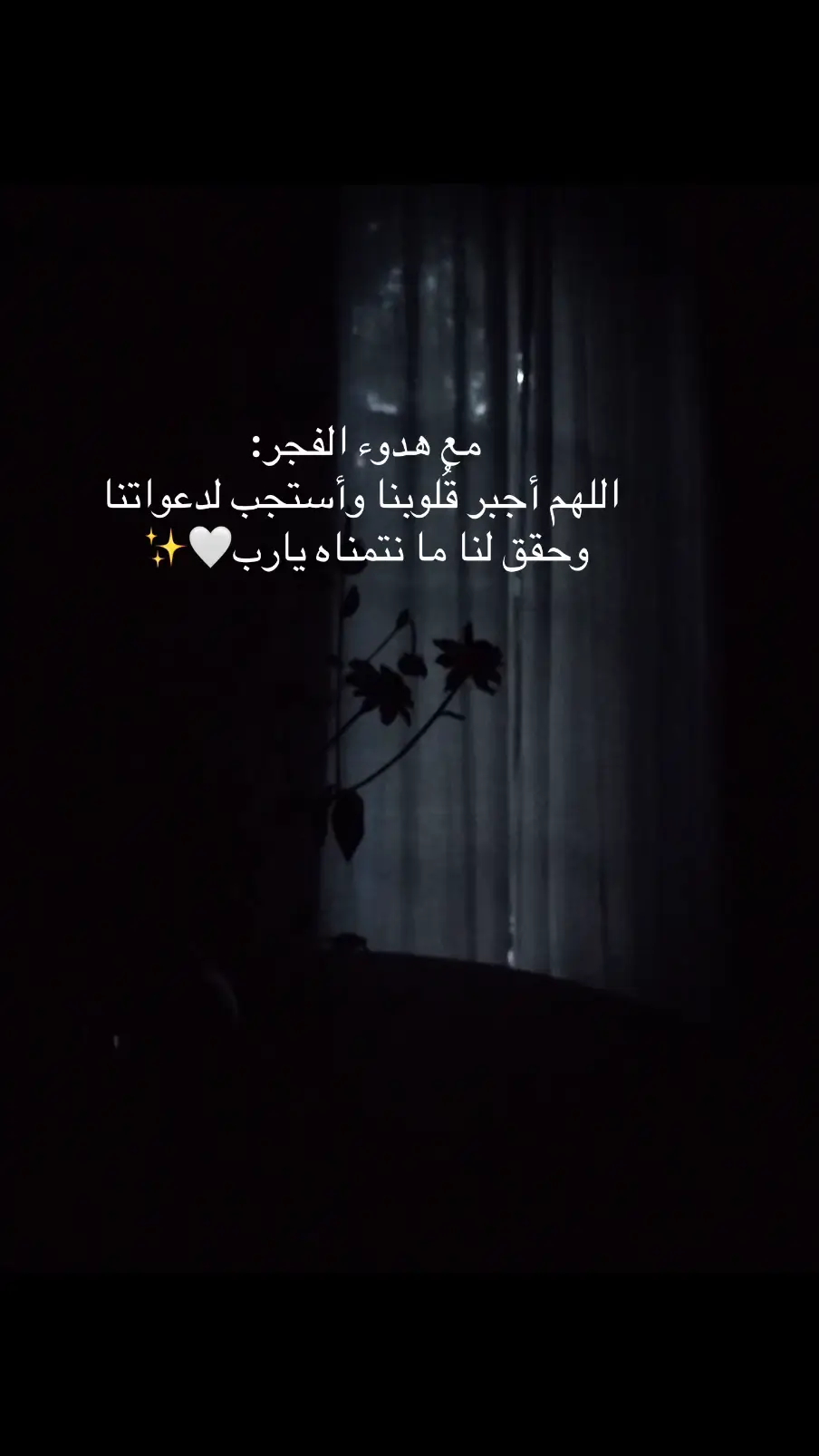 #ليطمئن_قلبك #❤️‍ 