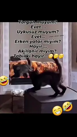 #tıktok #keşfet 😁😁🤣🤣