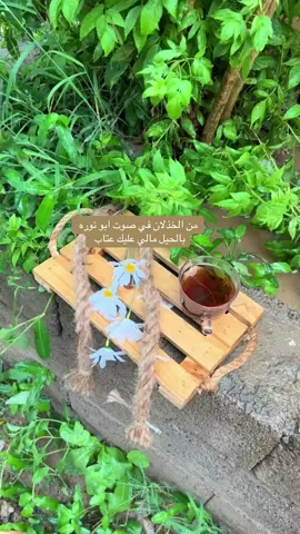 #لاتقول ودعتني داري بالحيل مالي عليك عتاب #محمد_عبده #اكسبلورexplore #funny #fy 