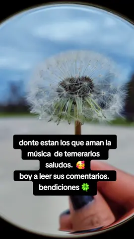 quien ama la música  de los temerarios   #temerarios   #temerarios   #viral.....