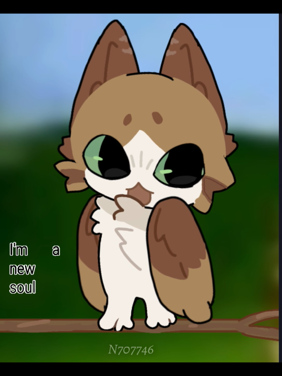 im a new soul!!!! meowwlll yeah i love meowl guys!! (◍•ᴗ•◍) ib:trends/fyp tags:#xyzbca #meowl #gachalife #tweeninganimation #foru 
