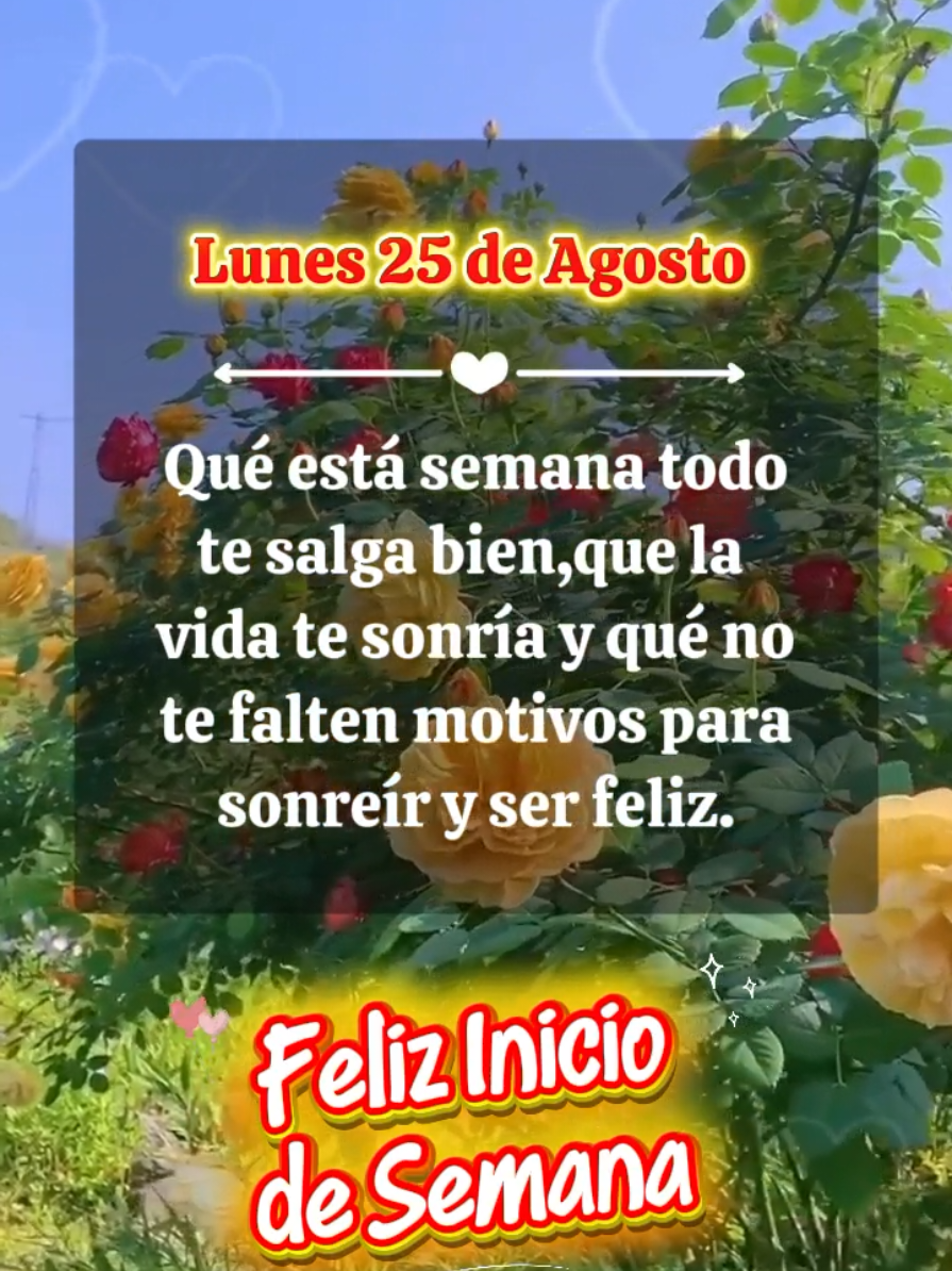 Buenos dias feliz inicio de Semana 🙌 #buenosdias #frases #lunes #iniciodesemana #buenosdias 