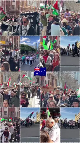 Massive rally — tens of thousands— in Naarm-Melbourne calling on the Albanese Labor Government @Albomp to immediately halt the arms trade with Israel to stop the genocide and expel the Israeli Embassy. The weekly rallies, held over 22 months since 7 October 2023,