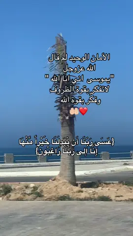 #CapCut #tiktok #العوض #