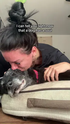 She was my soul dog #souldog #dogsoftiktok 
