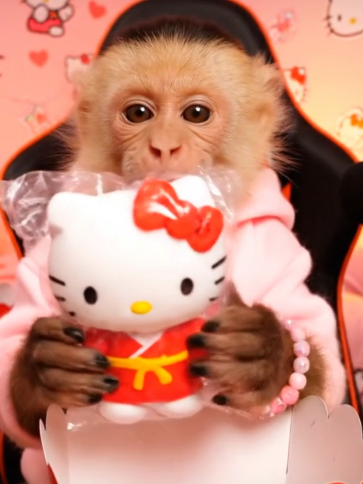 CAJITA FELIZ DE KITTY ESPECIAL UNBOXING #kiboasmr #cajitafelizdemcdonals #cajitafelizhellokitty #asmr #unboxingvideo