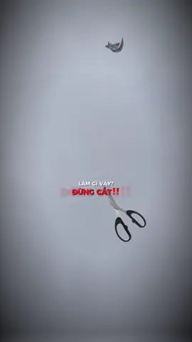 #CapCut ae dậy đón bão thôi đứt r 🤣#dieu #dieusao #dieusaovietnam #xuhuong 