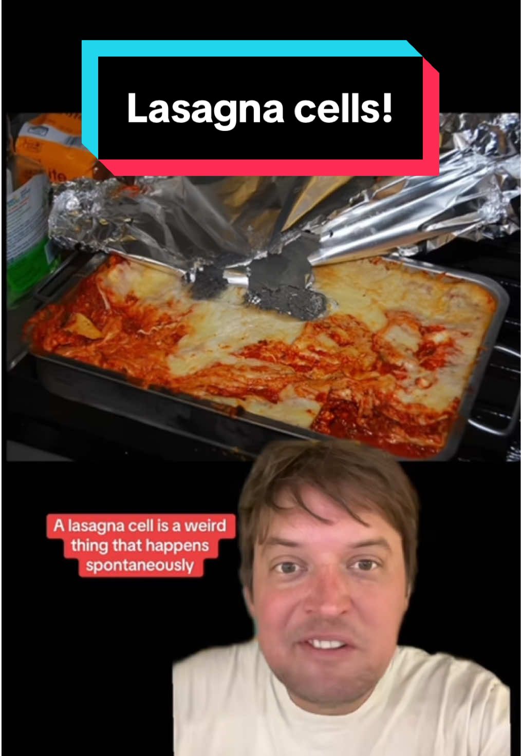 Lasagna cells! #science #learning #learneclecticthings 