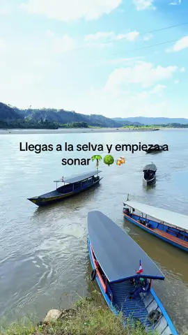 @Rica selva @apple🌳🌴😈