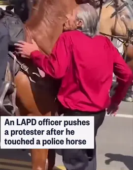 Video shows an LAPD officer pushing a protester after he touched a police horse during 