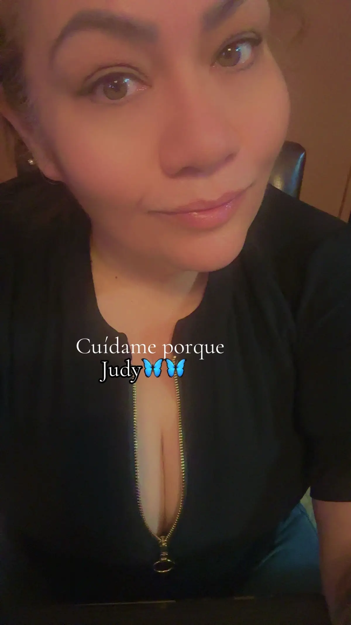 #phoenixaz♥️♥️ #chihuahua♥️♥️♥️ #parati🦋🌸👠 