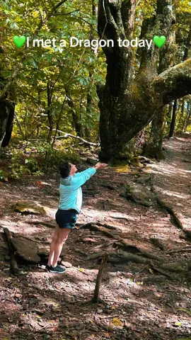 💚🍀I met a Dragon 💚🍀#travel #dragon #blueridgeparkway #foryou #spiritualtok 