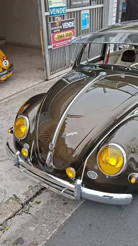 O Que Acharam de Projeto de 7 Anos. Comentem ai