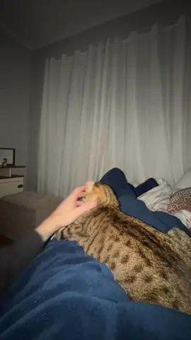 so cute