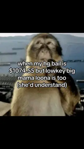 worth every penny #loona #loonahelluvaboss #helluvaboss #trending #meme 