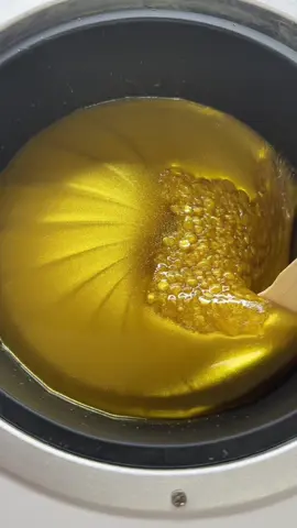 #waxingeducation #licensedesthetician #waxingtips #waxingforbeginners #waxing101 