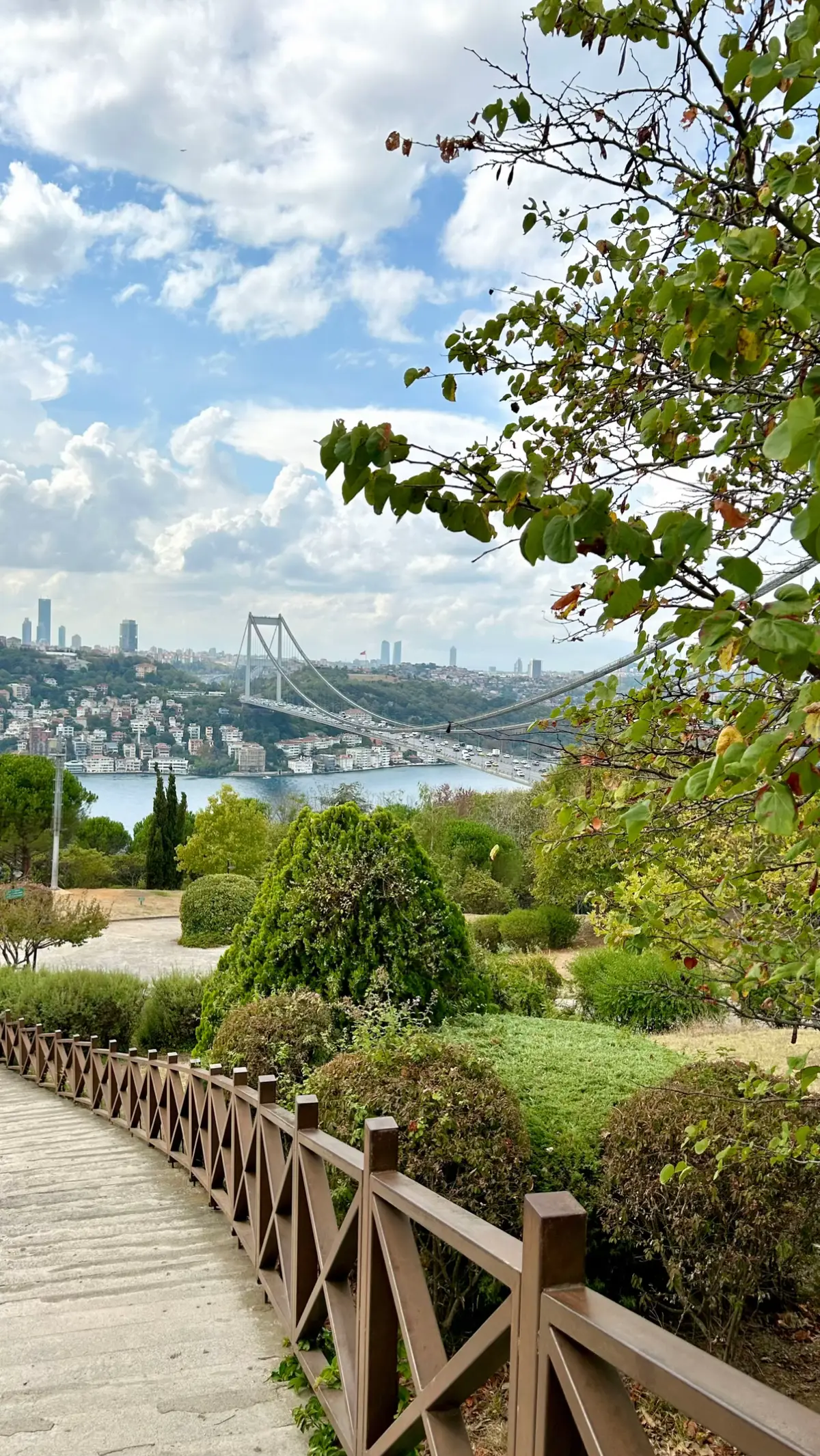 🇹🇷🕊️☕️🍃❣️🐈 #fyp #explore #istanbul 