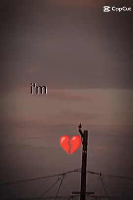 #CapCut 