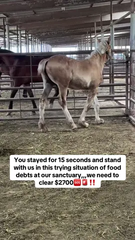 Please help donate