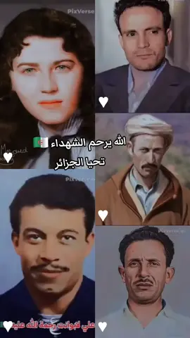 #123_viva_l_algerie🇩🇿💪🏻❤💯💯👑 #123_viva_l_algerie🇩🇿💪🏻❤💯💯👑 #شاشه_سوداء #شعب_الصيني_ماله_حل😂😂 