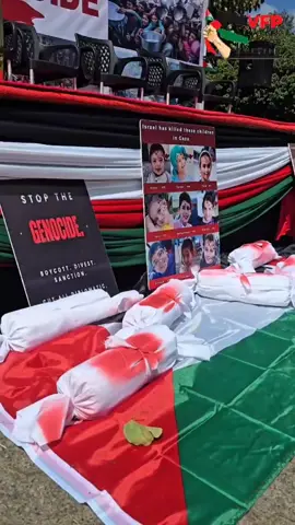#palestine #Gaza #PalestineWillBeFree #kenyantiktok🇰🇪  #PalestinianLivesMatter