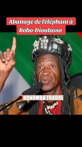 Traoré Konomba (Trésor Humain Vivant) critique l'abattage de l'éléphant et du buffle à Bobo et Ouaga, arguant que ces animaux étaient des envoyés des génies et des ancêtres et que leur mort, loin d'être un acte de bravoure, constitue une grave erreur coutumière qui pourrait attirer le danger sur le pays. 