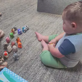 He’s so smart! 🥹 #animals #animal #toddlersoftiktok #boymom #toddler 