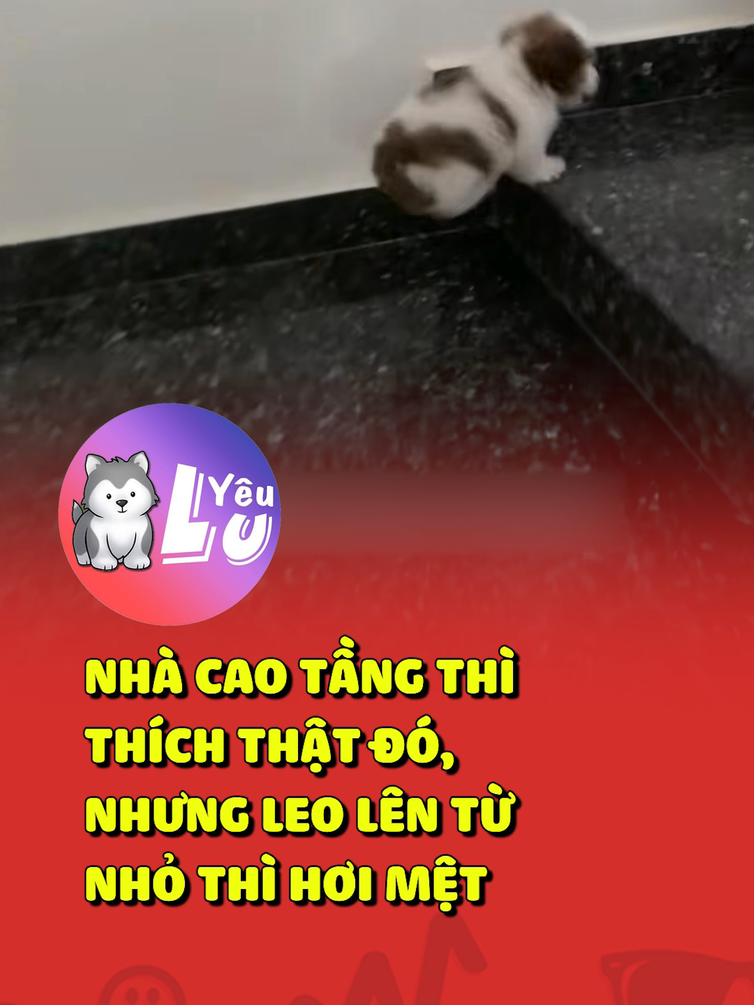Chờ tui với Sen 😂 #shorts #yeulu