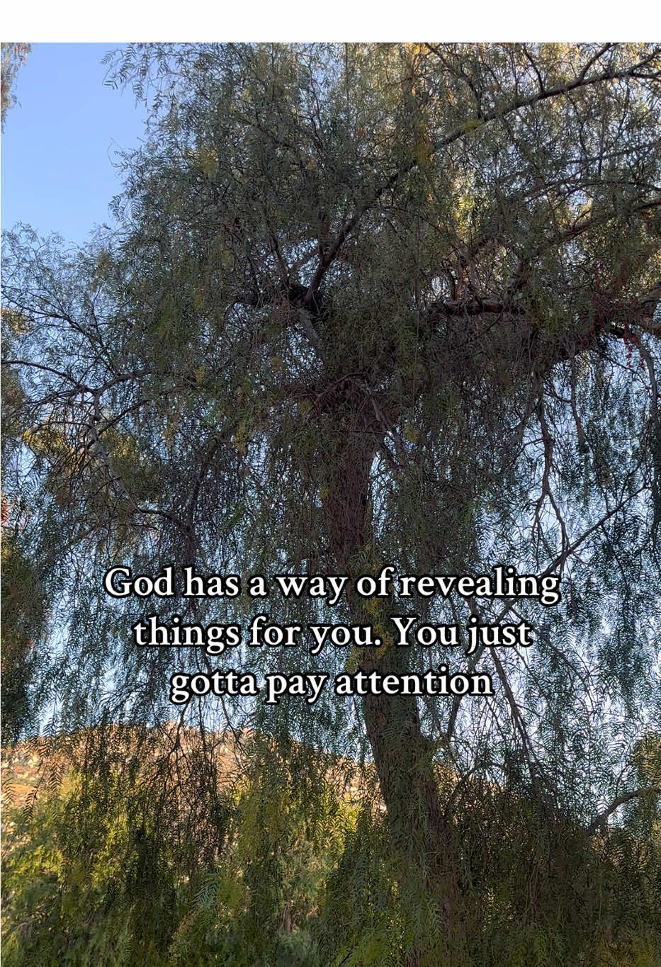 Amen 🙏🏻 #christianmotivation #quotesoftheday #godisgood #godlovesyou #jesuslovesyou 
