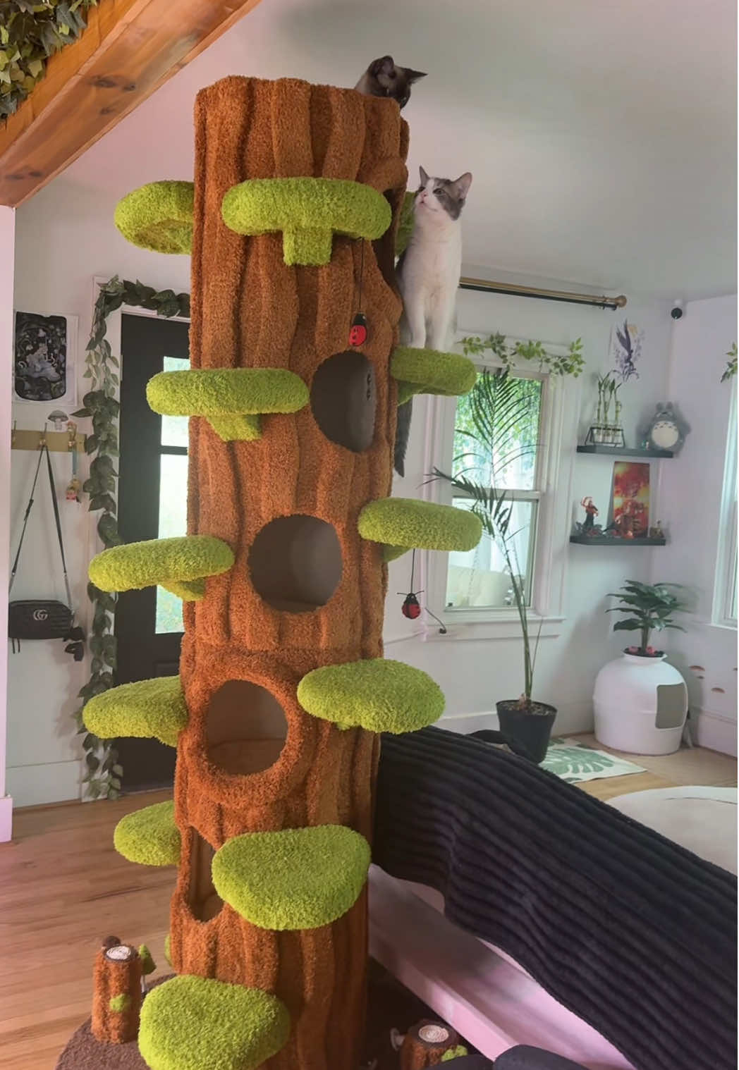 Ok now everyone wish Rocket a happy birthday, she’s 9 now :3 this is what she asked for her birthday #catsoftiktok #cattree #fairycore #whimsical 
