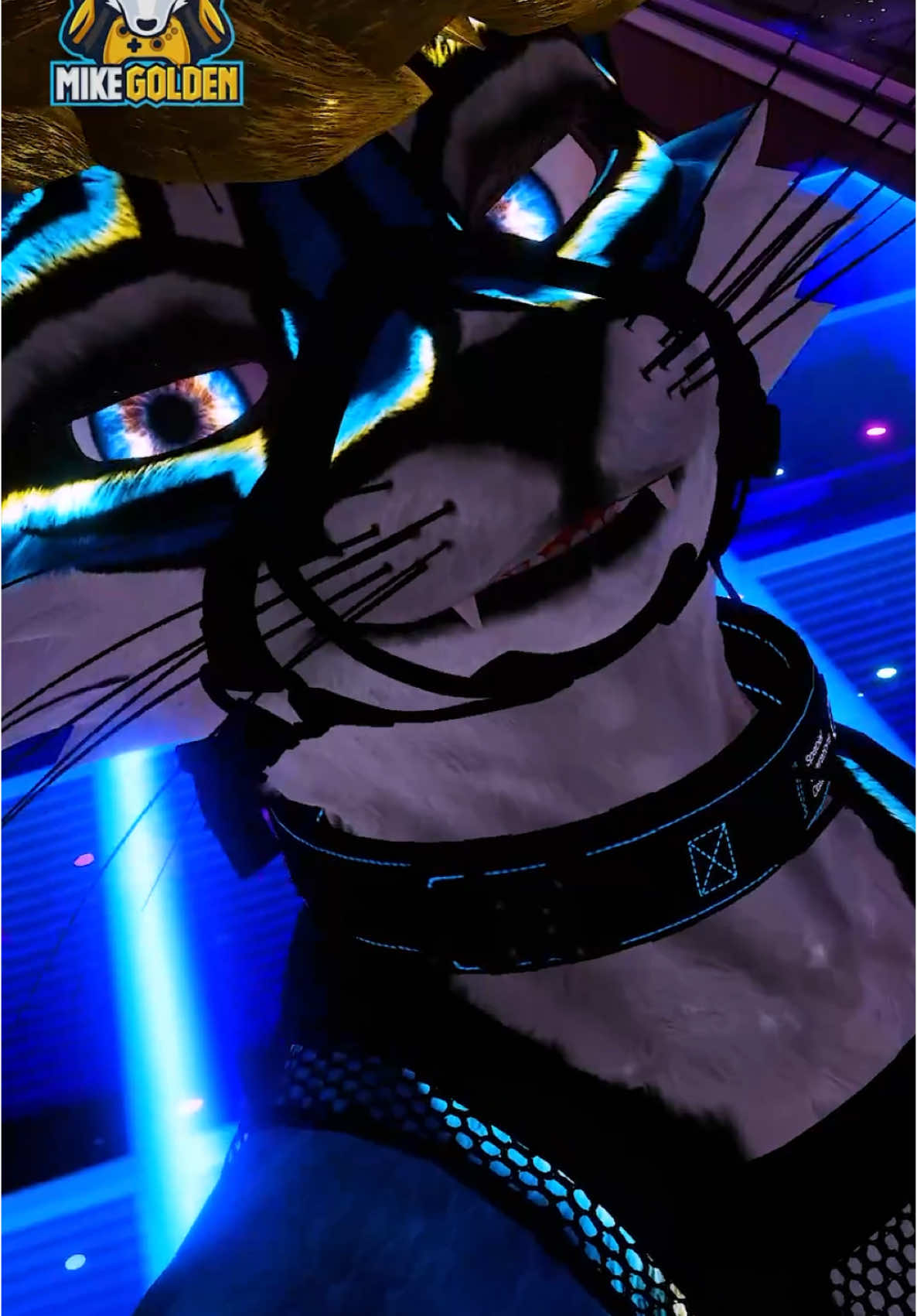 Golden - Like I’m Born To Be From K-pop Demon Hunters on Netflix #furry #vrchat #kpopdemonhunters #golden #demonhunter #furrydance #dancing 