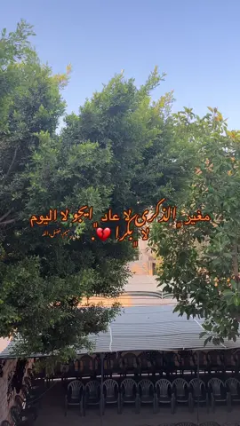 مغير الذكرى 💔. #درنه_بنغازي_البيضاء_طبرق_ليبيا #ليبيا🇱🇾 #foryou 