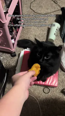 (tiktok took down the sound) don’t mind how messy my room is in the background lmao. victor is really odd if you couldn’t tell😭 #cat #blackcat #fyp #funny #fypシ 