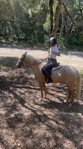 More like a honda civic 🏎️💨 #horsesoftiktok #fyp #viral #fypシ 