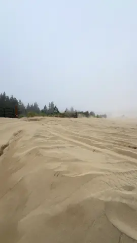 “Yo bro imma rail this, take a video”