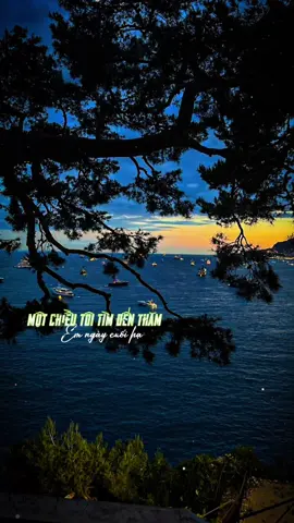 Một chiều tôi tìm đến thăm #nhachaymoingay #nhactamtrang #xuhuong2025 #foryou #fyp 